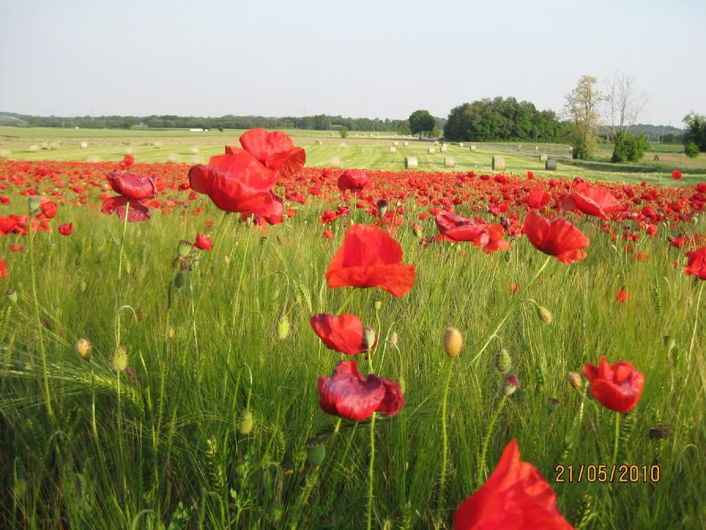 Farm stay Campagnoletto