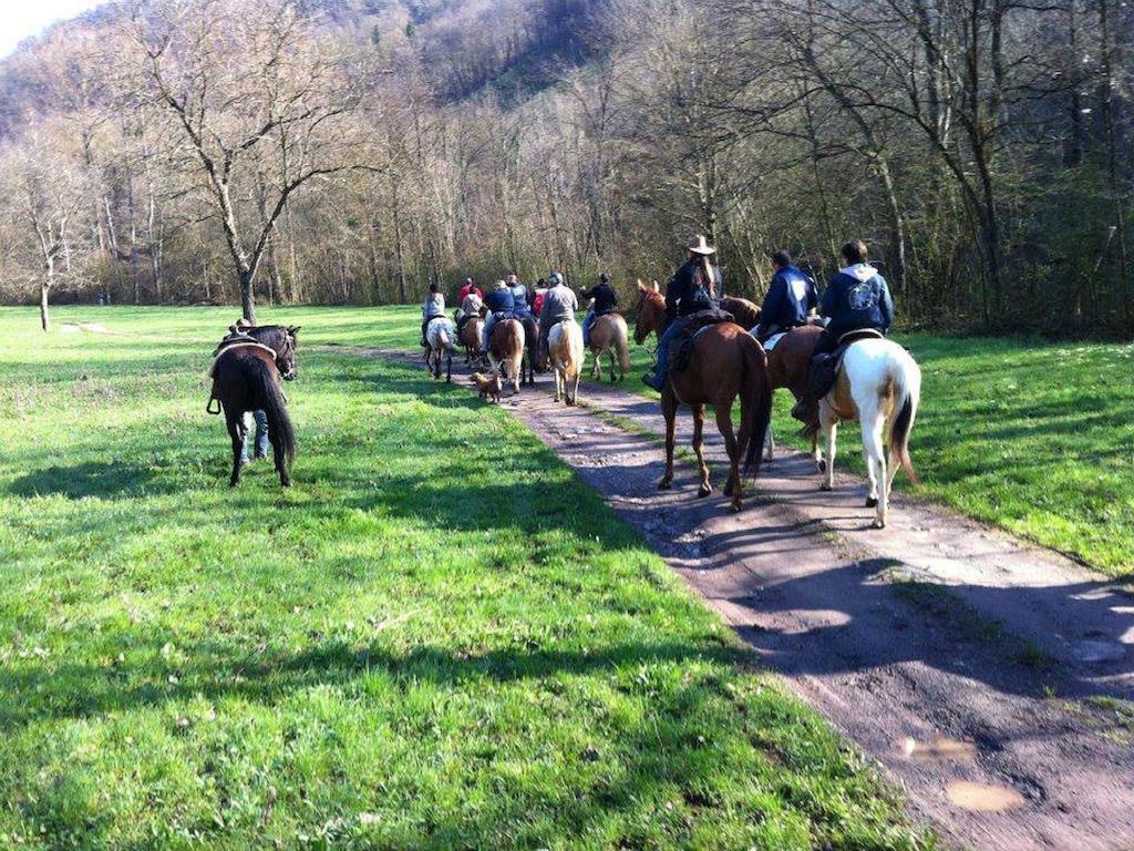Farm stay Campagnoletto